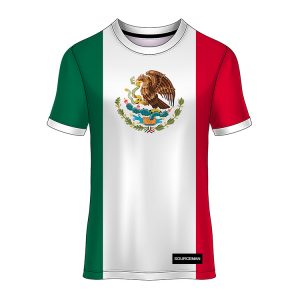 FCJ0029-H mexico national soccer team jersey (1)