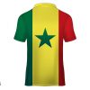 TS0018 Senegal Flag Shirt China Factory (2)