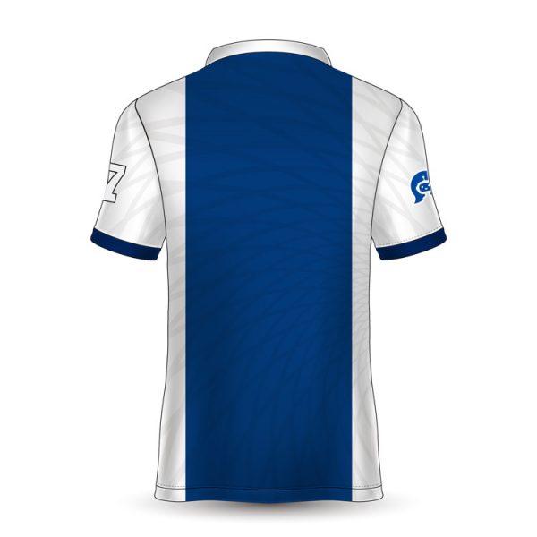 FCJ0190 royal blue and white football jersey (2)