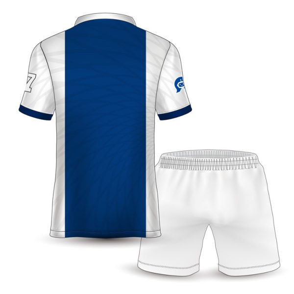 FCJ0190 royal blue and white football jersey (4)